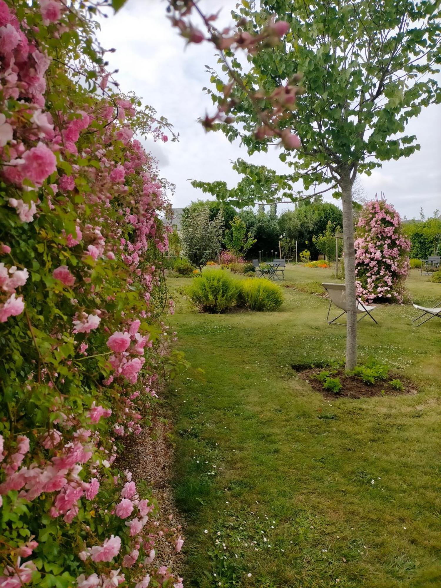 Bnb La Neo Bretonne Minihy-Tréguier Exterior foto